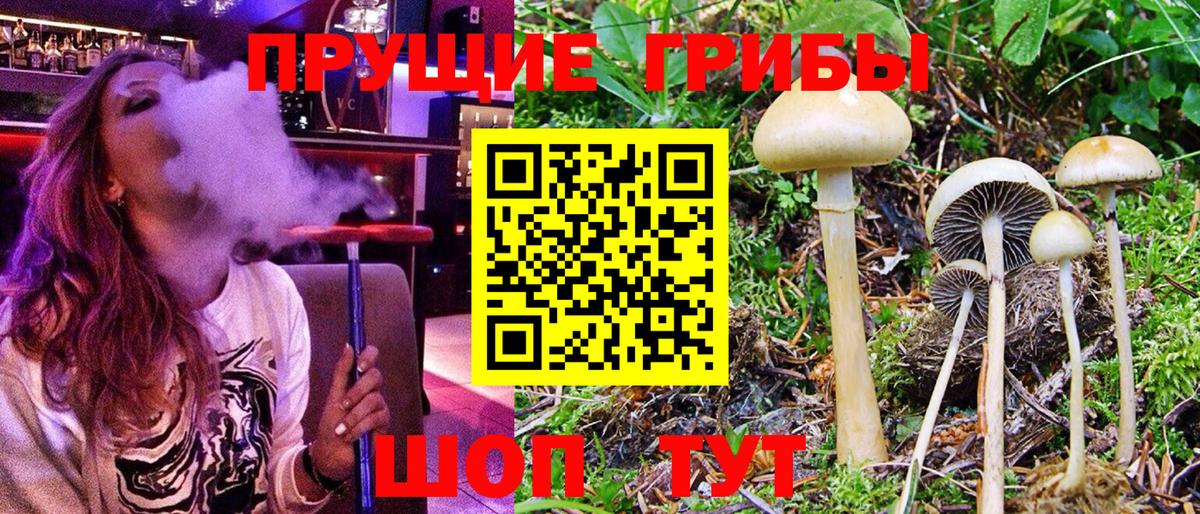 Галлюциногенные грибы мухоморы Канск