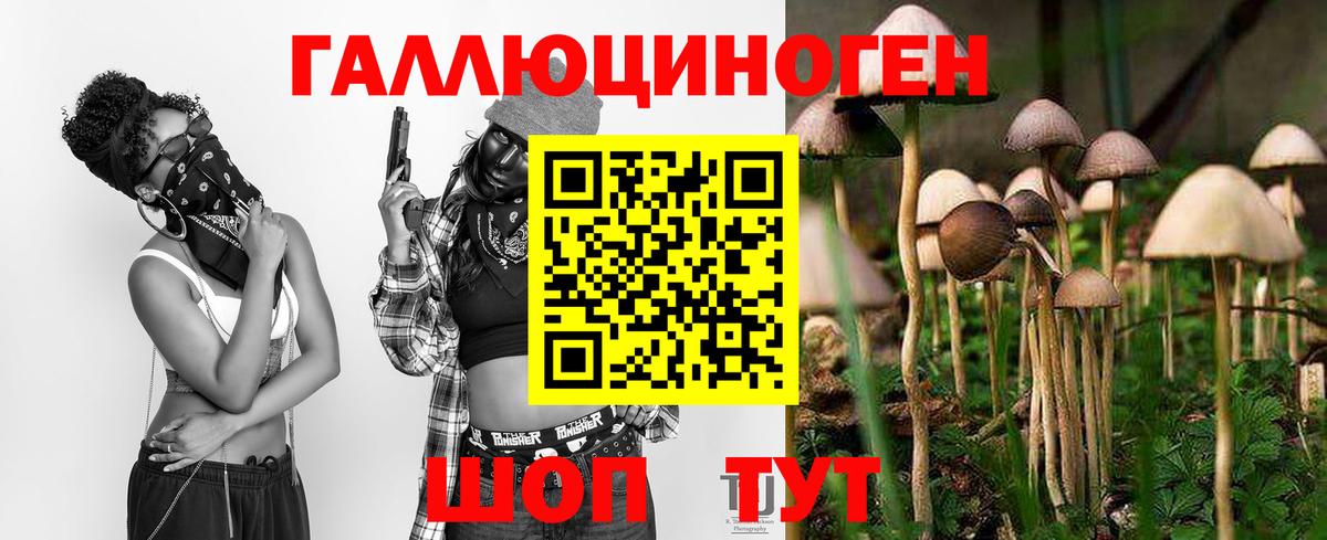 Галлюциногенные грибы MAGIC MUSHROOMS  Вход с VPN  Канск 